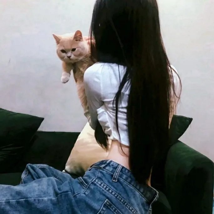细骨小屋